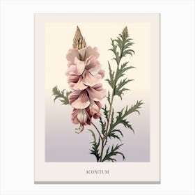 Floral Illustration Aconitum 2 Poster Canvas Print