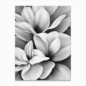 Magnolia B&W Pencil 2 Flower Canvas Print