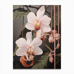 Flower Illustration Monkey Orchid 1 Canvas Print