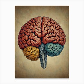 Brain - Illustration Canvas Print