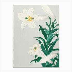 Lily Of The Valley 15 Canvas Print