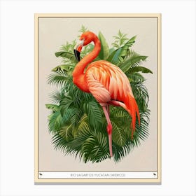 Greater Flamingo Rio Lagartos Yucatan Mexico Tropical Illustration 6 Poster Canvas Print