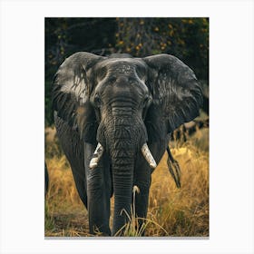 Elephants In The Wild 1 Canvas Print