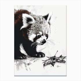 Red Panda Cub Playing With A Fallen Leaf Ink Illustration 4 Canvas Print