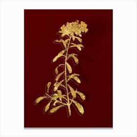 Vintage Small White Flowers Botanical in Gold on Red n.0076 Canvas Print