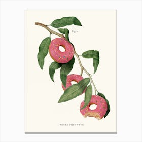 Donut Plant Canvas Print