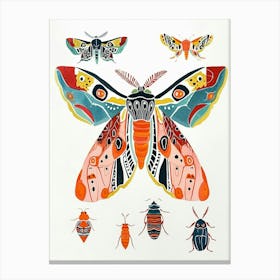 Colourful Insect Illustration Moth 20 Canvas Print