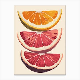 Oranges And Grapefruits 1 Canvas Print