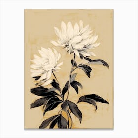 Chrysanthemum Ink On Paper Drawing 0 Canvas Print
