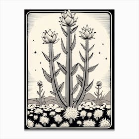 B&W Plant Illustration Pencil Cactus 1 Canvas Print
