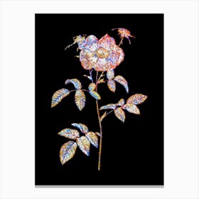 Stained Glass Stapelia Rose Bloom Mosaic Botanical Illustration on Black n.0122 Canvas Print