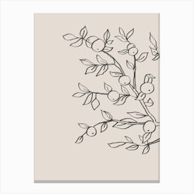 Line Art Apple Tree 02 Canvas Print