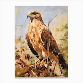 Bird Painting Hawk 3 Canvas Print