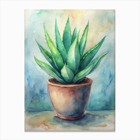 Aloe Vera 1 Canvas Print