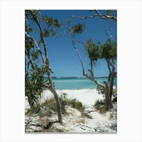 Whitsundays, Australia Blue 2 Photography Canvas Print