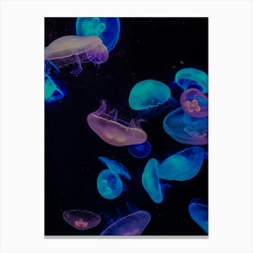 Jellyfish Canvas Print