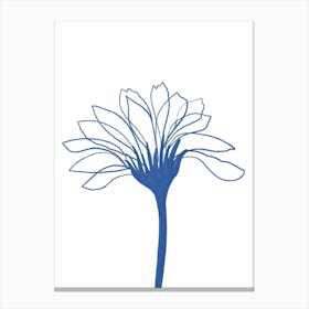 Chrysanthemum Flower Canvas Print