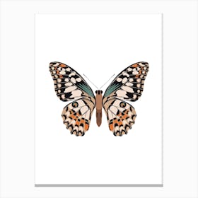 Mariposa Butterfly Canvas Print