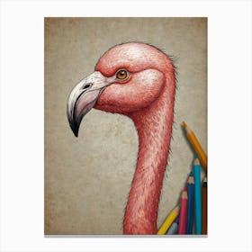 Flamingo 20 Canvas Print