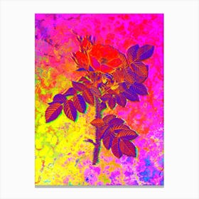 Kamtschatka Rose Botanical in Acid Neon Pink Green and Blue Canvas Print