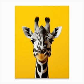 Giraffe 3 Canvas Print