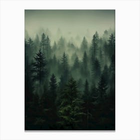 Foggy Forest Canvas Print