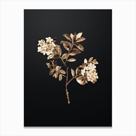 Gold Botanical Hairy Alpenrose on Wrought Iron Black n.4386 Canvas Print