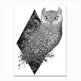 Cosmic Owl Canvas Print