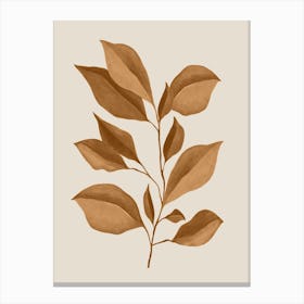 Minimal Plant 67 Canvas Print