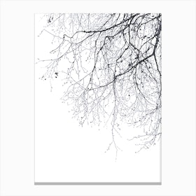Black Branches 23 in Canvas Print