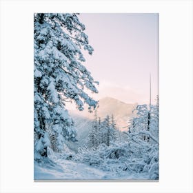 Winter Mountain Sunset Canvas Print