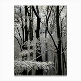 Winter Forest 2 Canvas Print