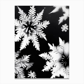 Delicate, Snowflakes, Black & White 3 Canvas Print