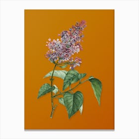 Vintage Common Pink Lilac Plant Botanical on Sunset Orange n.0338 Canvas Print