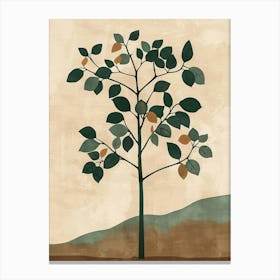 Paulownia Tree Minimal Japandi Illustration 2 Canvas Print