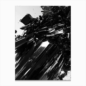 Abstract Black And White Canvas Print