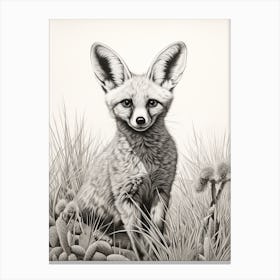 Bat Eared Fox In A Field Pencil Drawing 1 Canvas Print