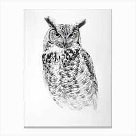 Boreal Owl Marker Drawing 4 Canvas Print