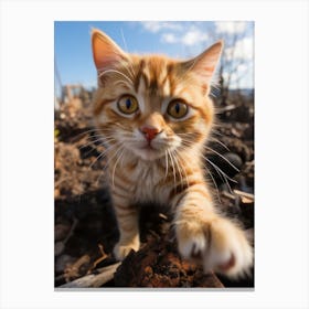 Yellow kitten Canvas Print