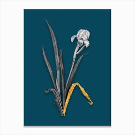 Vintage Crimean Iris Black and White Gold Leaf Floral Art on Teal Blue n.0945 Canvas Print