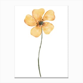 Yellow Poppy 1 Canvas Print