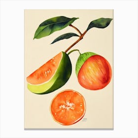 Melon Watercolour Fruit Painting Fruit Canvas Print