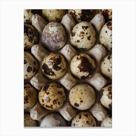 Quail Eggs 30 Canvas Print