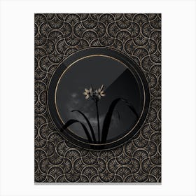 Shadowy Vintage Small Pancratium Botanical in Black and Gold Canvas Print