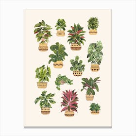 Plant Collection 7 Canvas Print