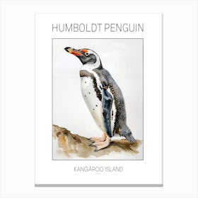 Humboldt Penguin Kangaroo Island Penneshaw Watercolour Painting 3 Poster Canvas Print