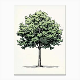 Beech Tree Pixel Illustration 3 Canvas Print