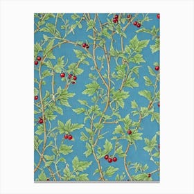 Redcurrant Vintage 2 Botanical Fruit Canvas Print