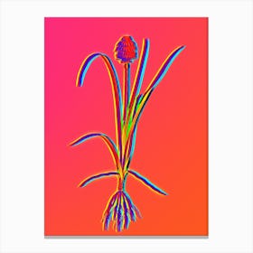 Neon Veltheimia Abyssinica Botanical in Hot Pink and Electric Blue n.0304 Canvas Print