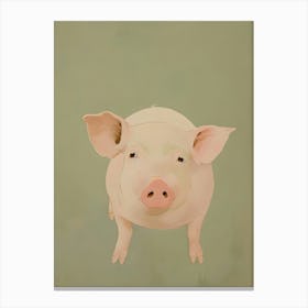 Cute Pig Canvas Print